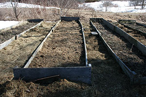 Raised bed for strawberries