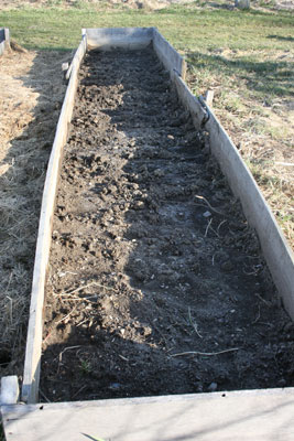 Strawberry bed (post excavation)