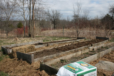 Work in the raised beds
