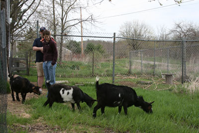 Sam, Amy, and Esten meet the goats